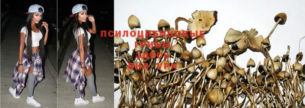 синтетический гашиш Костерёво