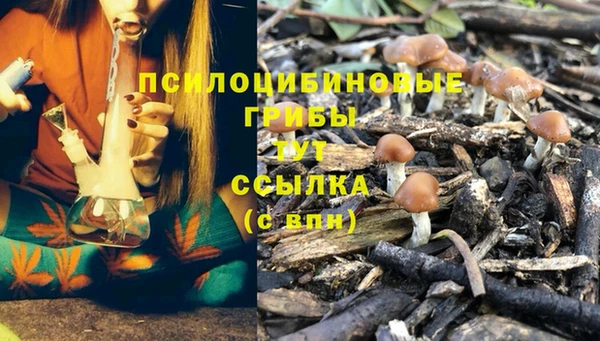 ГАЛЛЮЦИНОГЕННЫЕ ГРИБЫ Краснотурьинск