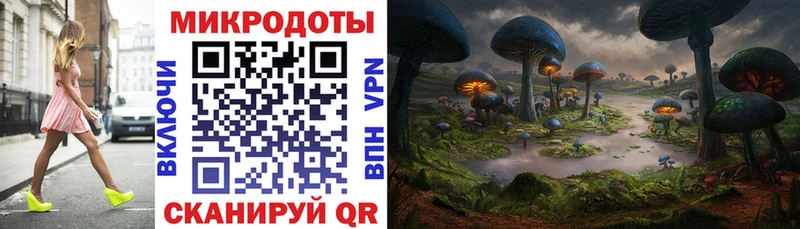 Купить закладки  Волгореченск  Псилоцибиновые грибы Psilocybine cubensis 