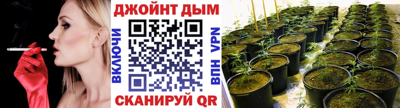 Купить закладки Волгореченск МАРИХУАНА SATIVA & INDICA